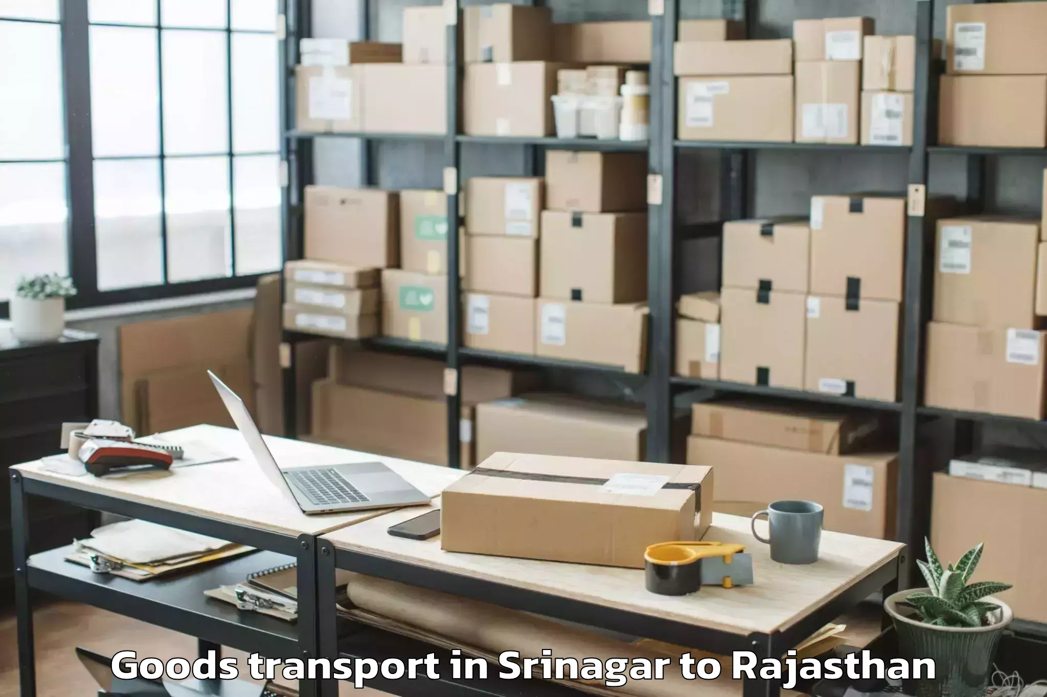 Book Srinagar to Lalsot Goods Transport Online